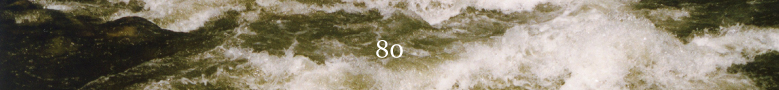 80 banner